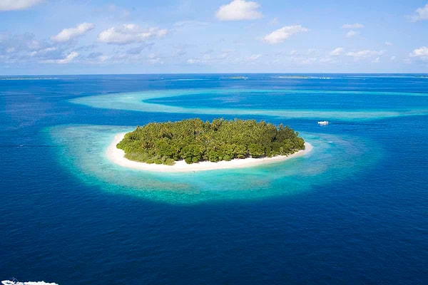 6. Если бы вам пришлось жить на необитаемом острове, какую вещь вы бы точно взяли с собой?