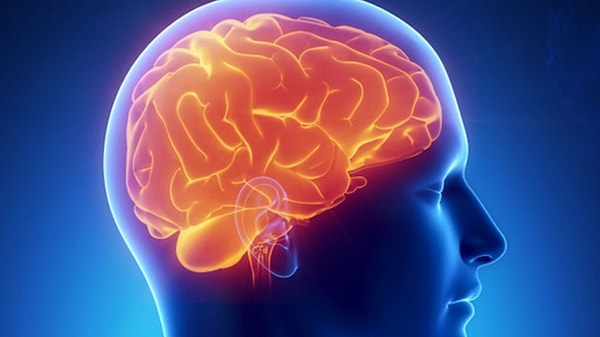 9. Сколько оболочек у головного мозга?