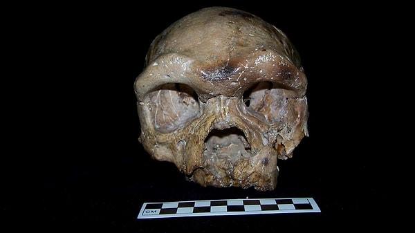 Fakat arkeologlar tarafından bulunan "Dali" adlı kafatası, Homo sapiens'in bilinen en eski kalıntılarına oldukça benzemekle birlikte araştırmacıların kafasını epey karıştırmış durumda.