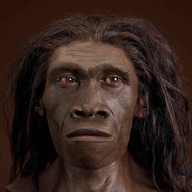 Bu 'insansı' yaratığın (Homo erectus), 100.000-2.000.000 yıl kadar önce Afrika, Asya ve Avrupa'nın bazı bölgelerinde yaşadığı düşünülüyor.