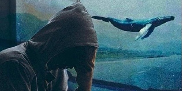 Yeterince can alan bu oyuna daha fazla kurban vermemek adına lütfen yazılanlara dikkat edip, etrafınızdaki çocukları ve gençleri uyarın!