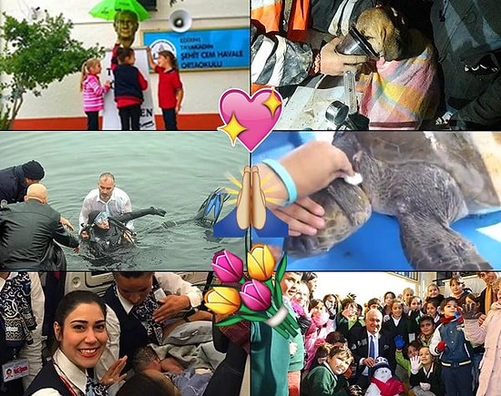 Dünyayı İyilik Kurtaracak! 2017 Yılından İçinizi Isıtacak 25 Umut Dolu Kare