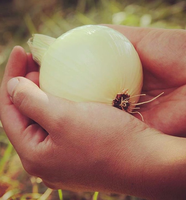 6. Не храните вместе лук и картошку