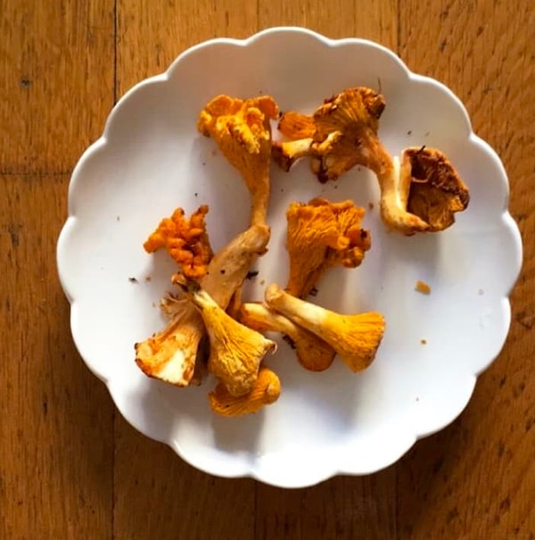 12. Ни в коем случае не храните грибы в пластиковых ёмкостях и полиэтиленовых пакетах