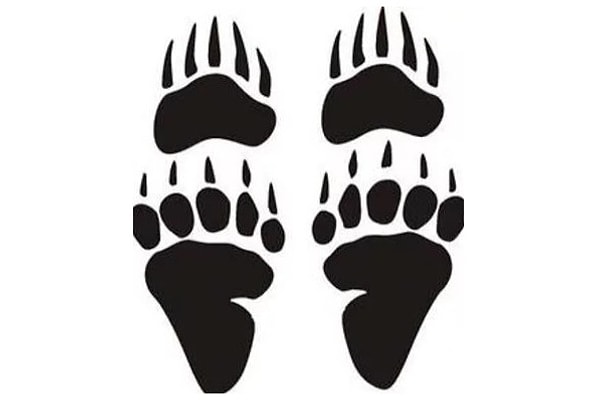 1. Начнем с относительно легкого. Как думаете, чьи это за следы?