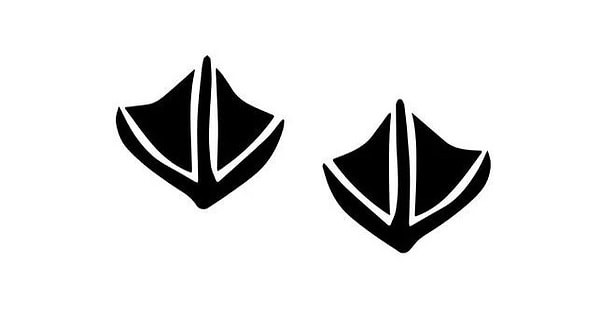 4. Проще простого!