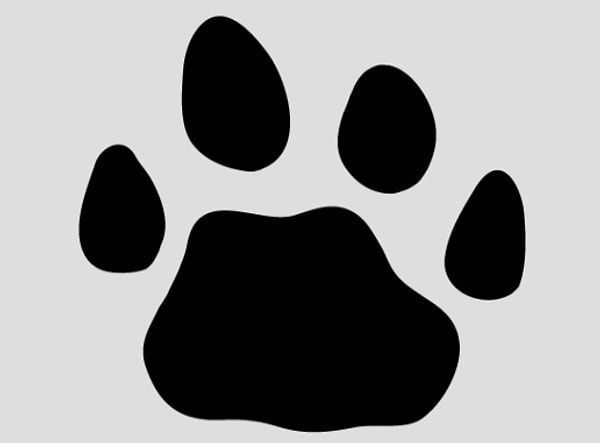 7. Кто бы это мог быть?