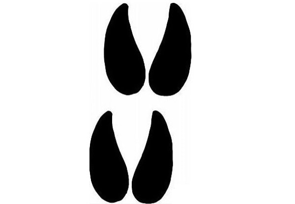 6. А это, конечно же...