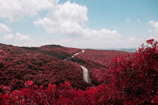 3. Чудные цвета, не так ли? А какие чувства они у вас вызывают?