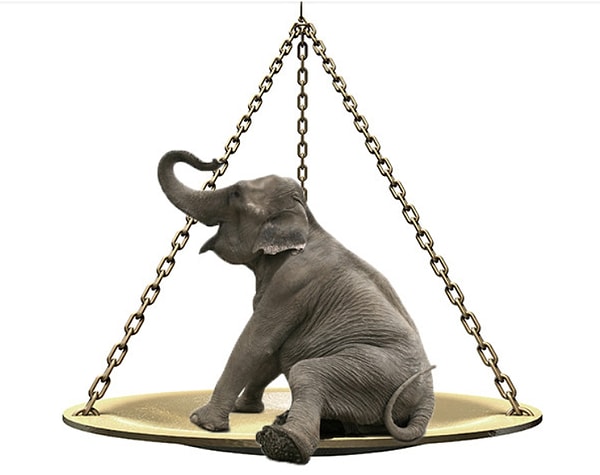 2. А сколько тонн в среднем весит взрослый африканский слон?