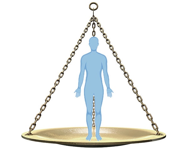 7. А сколько весит кожа человека, которую он "сбрасывает" за всю жизнь?