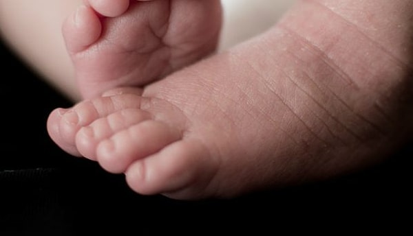 12. 5 пальцев на ногах