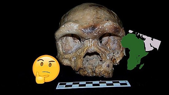 İnsan Irkı Afrika'dan Gelmedi mi? Çin’de Bulunan Kafatası Evrimle İlgili Bildiğimiz Her Şeyi Unutturabilir!