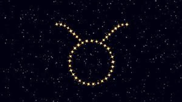 Вы, скорее всего - Телец