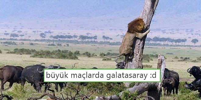 Başakşehir'de Tarihi Hezimet! Başakşehir - Galatasaray Maçının Ardından Yaşananlar ve Tepkiler