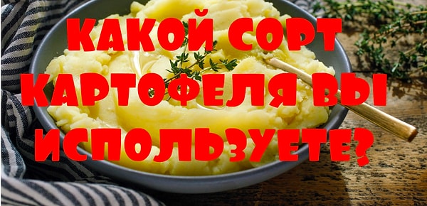 1. Первый вопрос: