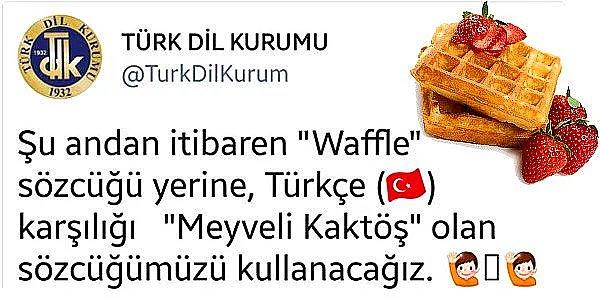 22. Türk Dil Kurumu'nun parodi hesabından Waffle için "Meyveli Kaktöş" ismi önerisi