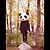 butterfly_wolf