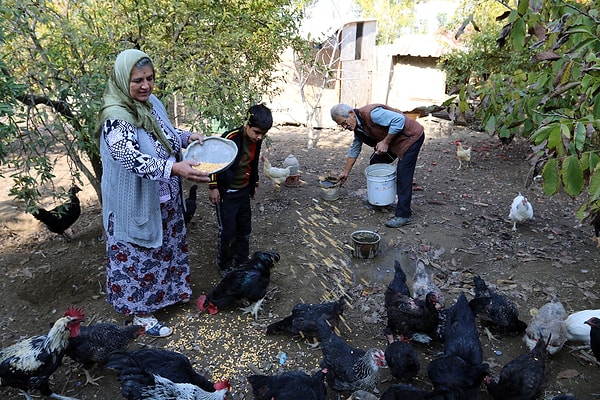 Ağaçlar diktiler, araziyi yeşerttiler, yaz-kış çalıştılar ve  gece-gündüz burada, bu ideal peşinde koştular.