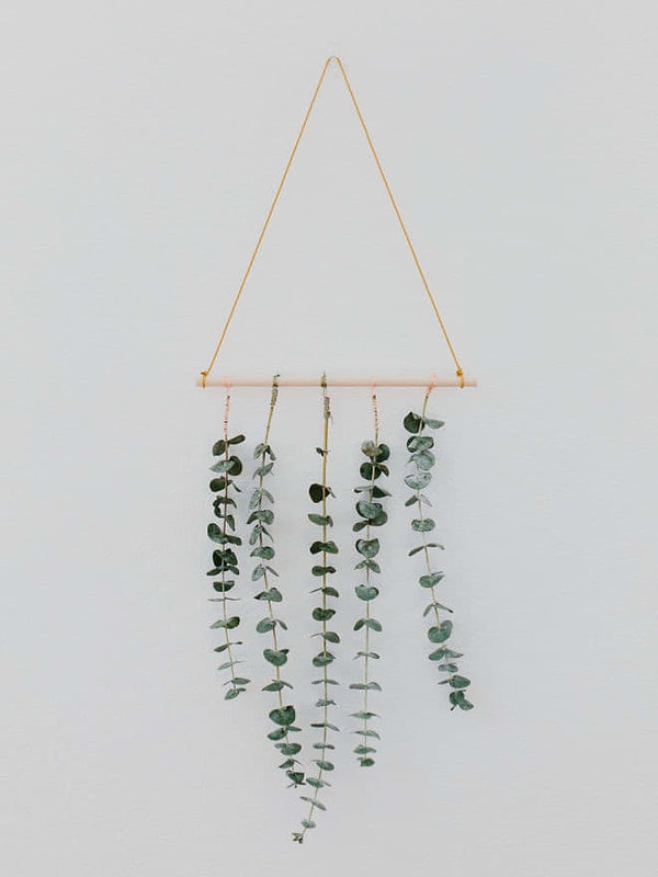 7. Минималистичное украшение для дома из сушеных листьев эвкалипта 🌿