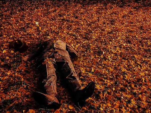 8. Что здесь могло произойти?