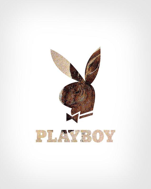 13. Playboy + Young Hare (Genç Tavşan) / Albrecht Dürer