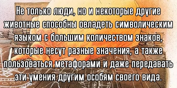 8. Продолжаем...