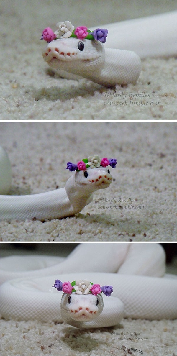 3. Красивой быть не запретишь!