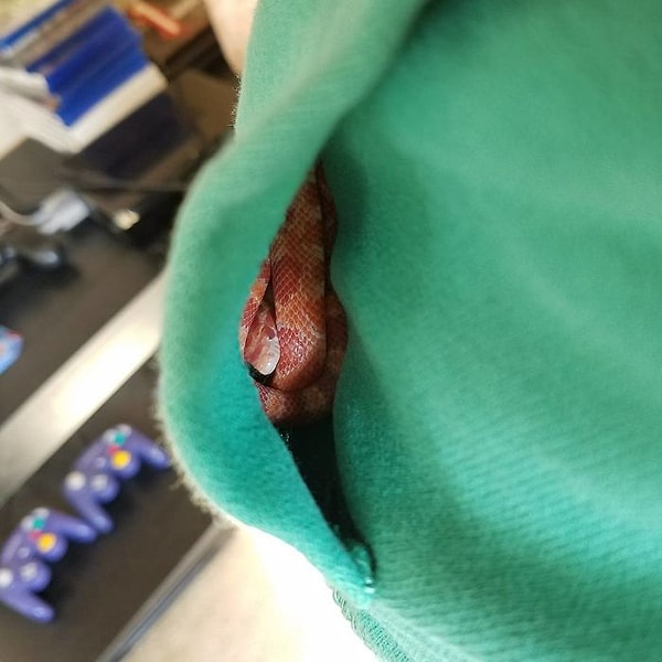 10. Или в больших карманах.