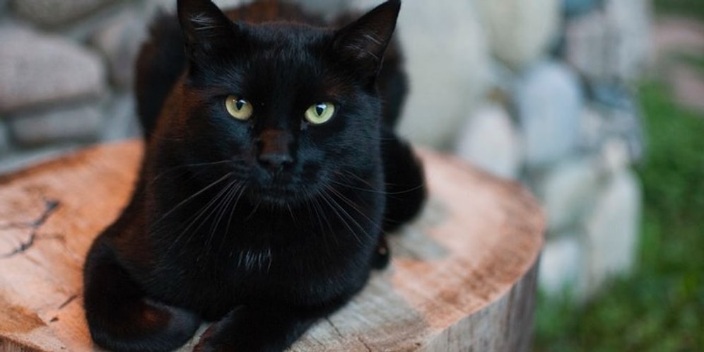 Ваша бабуля будет вами гордиться, если вы наберете 7/7 в этом тесте на знание русских суеверий