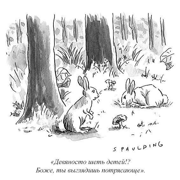 3. Комплимент