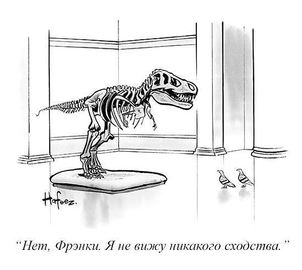 14. Дальний родственник