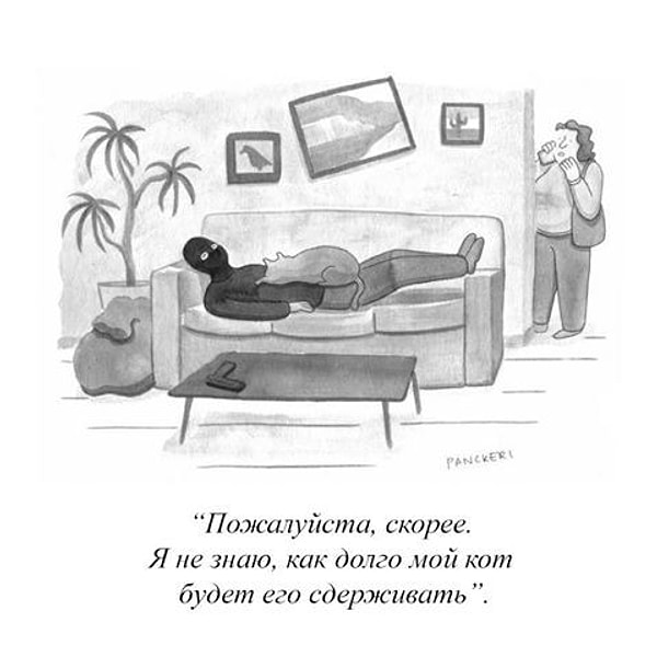 29. Правильный кот - страшная сила