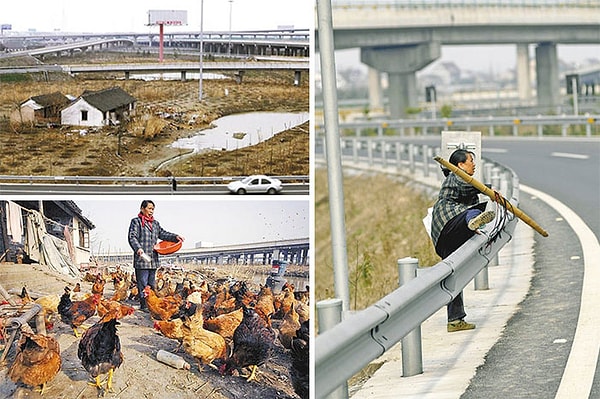 12. Эти фермеры живут посреди трех шоссе. Правительство смогло переселить всех в округе, но не эту семью