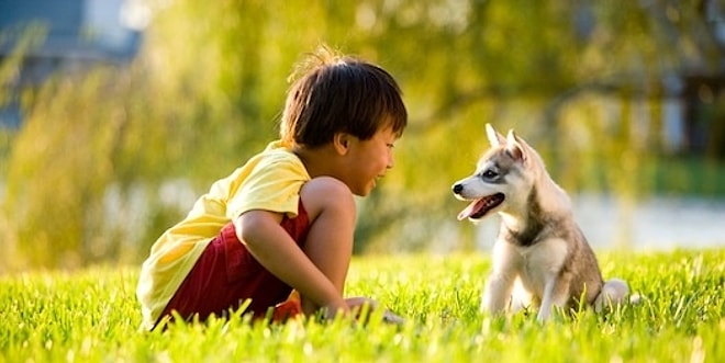 Bir Köpekle Yaşamanın Dünyanın En Muhteşem Şeyi Olduğunu Bilim de Doğruladı!