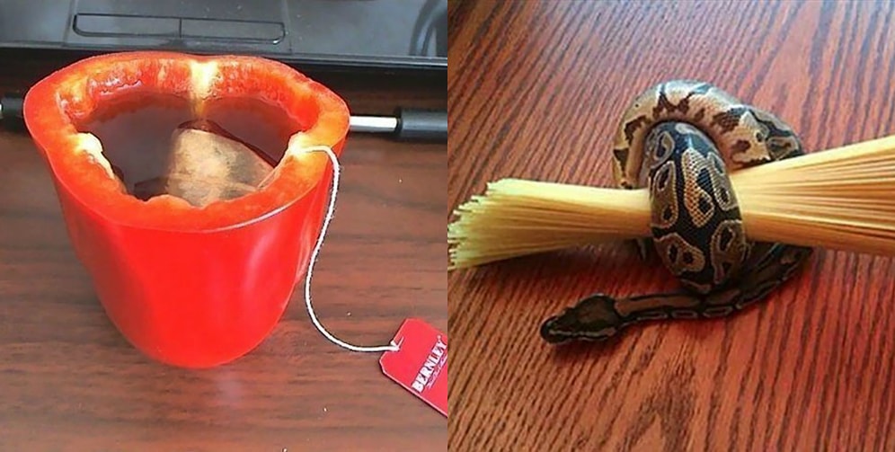 15 жизненных советов, настолько глупых, что это просто уморительно 🤣