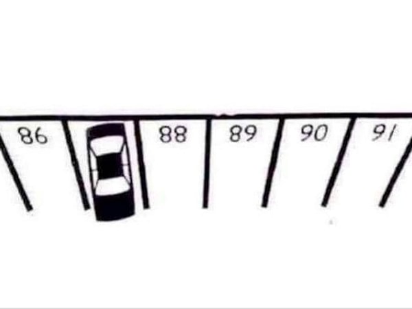 Посмотреть ответ: