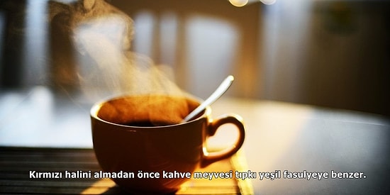 Tiryakileri Buraya! Kahve Hakkında Daha Önce Duymadığınız 15 İlginç Gerçek