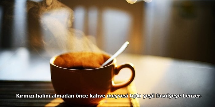 Tiryakileri Buraya! Kahve Hakkında Daha Önce Duymadığınız 15 İlginç Gerçek