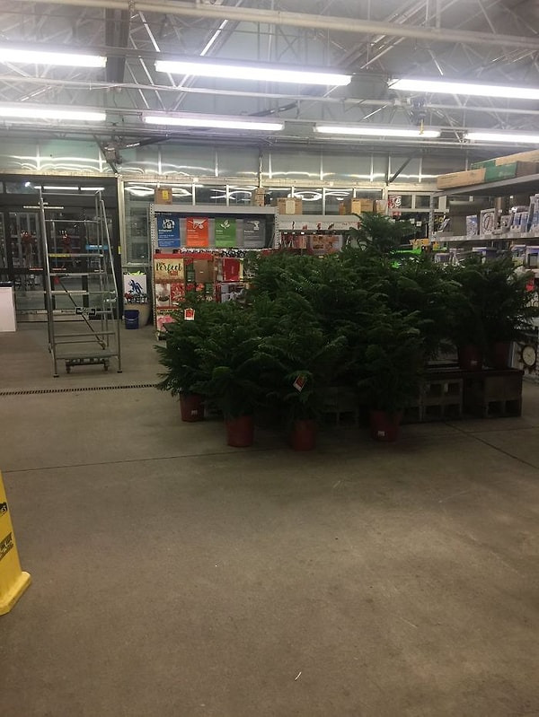 5. Локация 5: отдел садовых принадлежностей