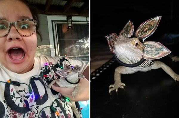 7. У Дастина с Дартом не сложилось, но уж у этих двоих-то обязательно все получится!