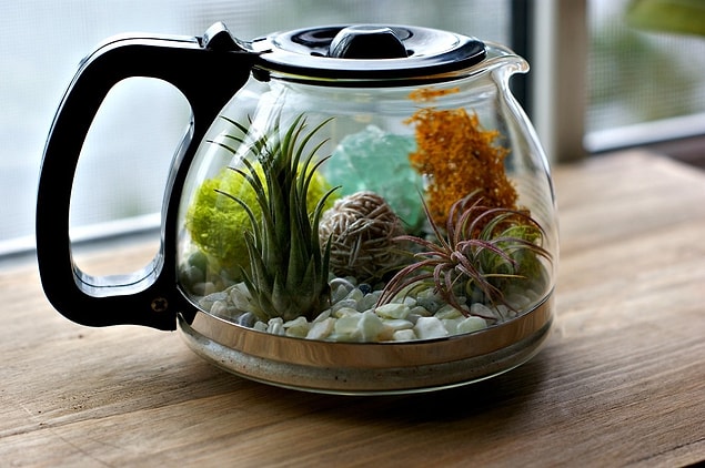 7. Terrarium aranjmanları hazırlamak