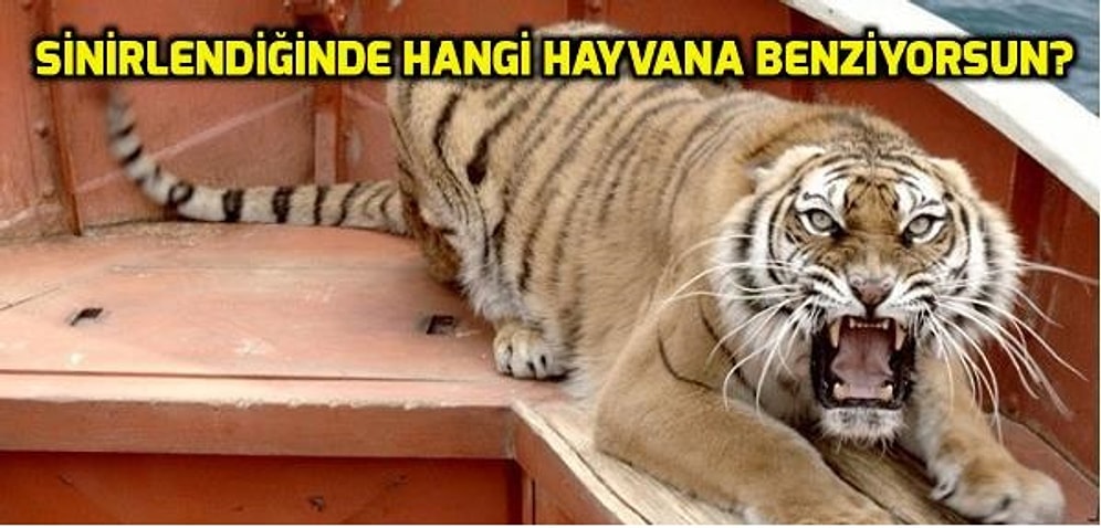 Nikahı Bize Sormadan Kıymayın! Evleneceğiniz Kişiye Mutlaka Çözdürmeniz Gereken 17 Onedio Testi