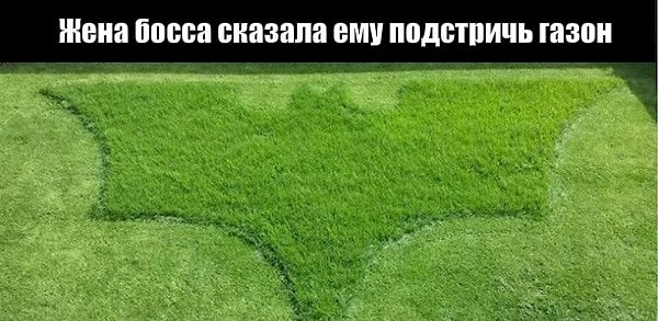 5. Потому что просто стричь траву слишком скучно