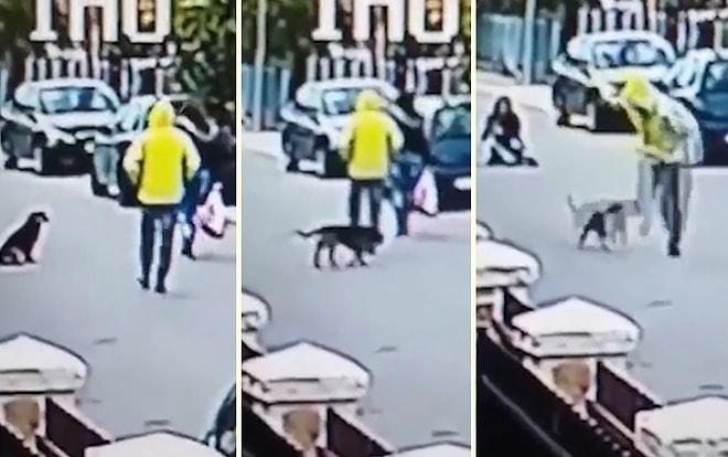Sokak Ortasında Gasp Edilen Kadını Koruyan Sokak Köpeği