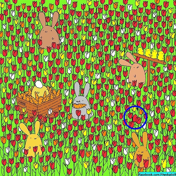 Посмотреть ответ: