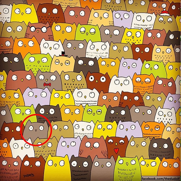 Посмотреть ответ: