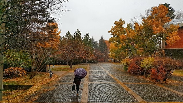 Öğrenciler tarafından çekilen ve kampüsün farklı noktalarının doğal Öğrenciler Tarafından Çekilen ve Kampüsün Farklı Noktalarının Doğal