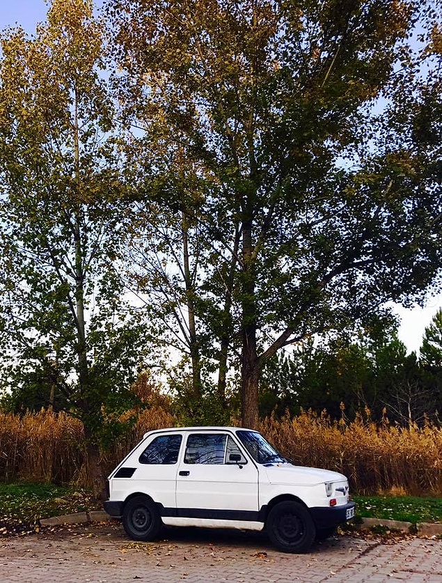 Öğrenciler tarafından çekilen ve kampüsün farklı noktalarının doğal Öğrenciler Tarafından Çekilen ve Kampüsün Farklı Noktalarının Doğal