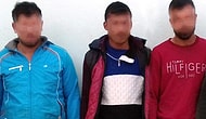 Güvercinlerin Kafasını Kopararak Öldüren 3 Suriyeli Cani Serbest Bırakıldı